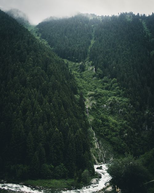 Free A lush forested mountain landscape with a waterfall cascading through the misty scenery. Stock Photo