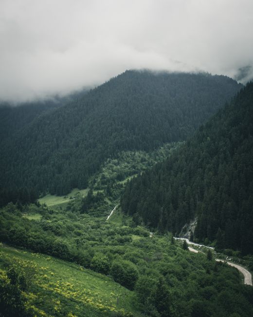 Explore a serene mountain road winding through lush green forests under a misty sky.
