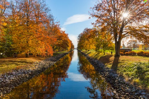 Free River Between Brown Leafed Trees during Daytime Stock Photo