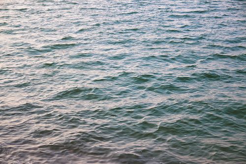 Free Peaceful ocean waves with a shimmering surface on a sunny day, perfect for relaxation themes. Stock Photo