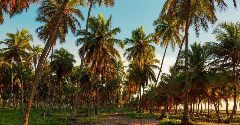 Soleil Décembre : Top 15 Destinations 2026