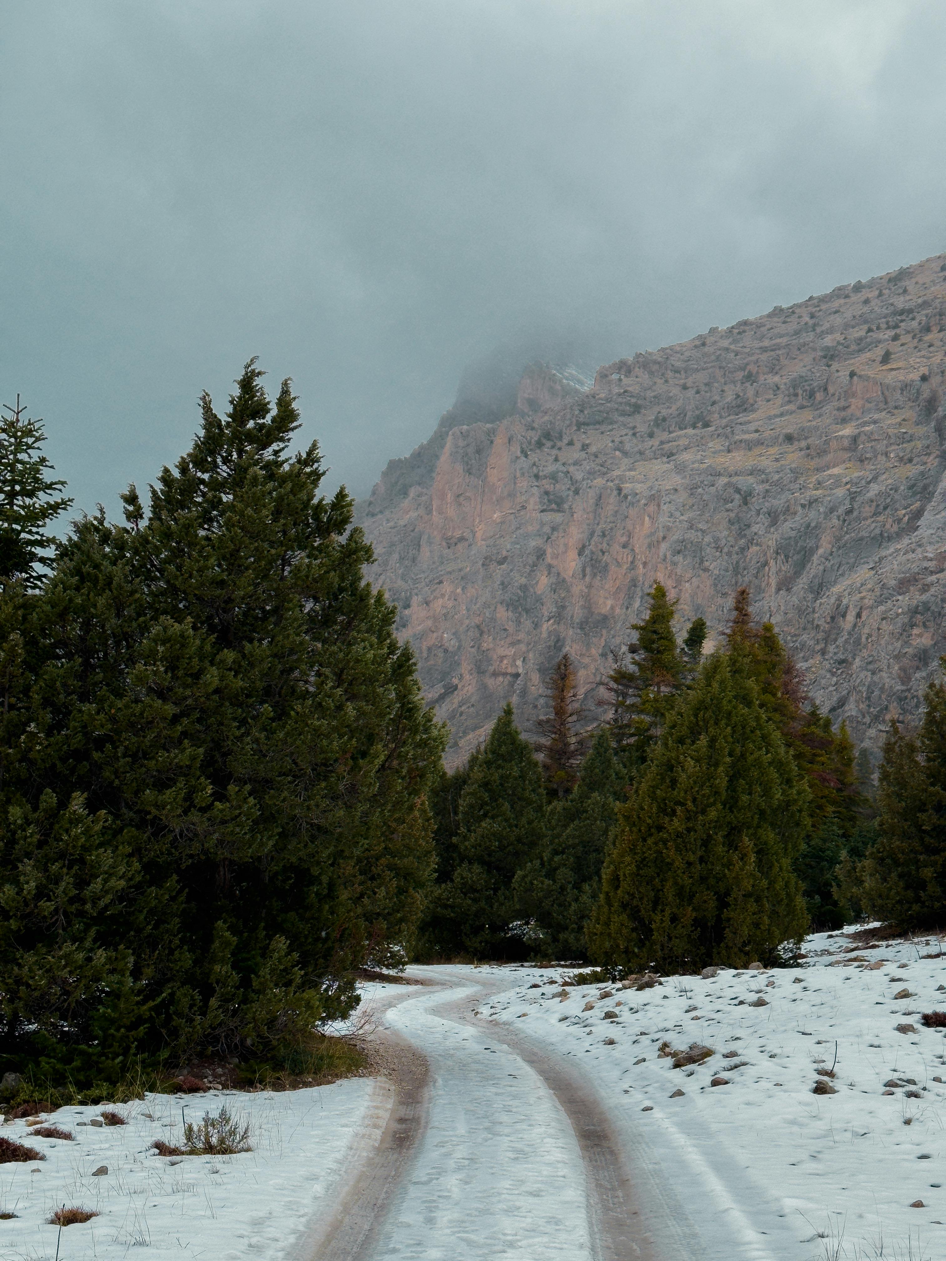 Captivating winter landscape in Niğde, Türkiye with snow-covered path and mountains.