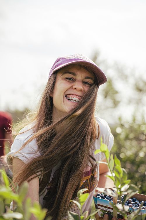 Free Smiling woman in a cap gathering blueberries on a sunny day in a rural field. Stock Photo
