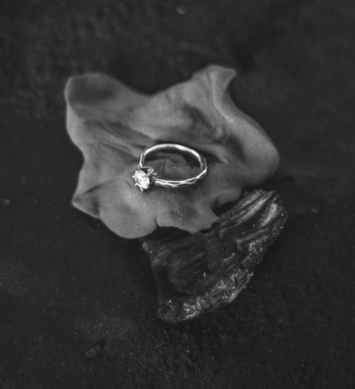 Engagement Ring in Black and White
