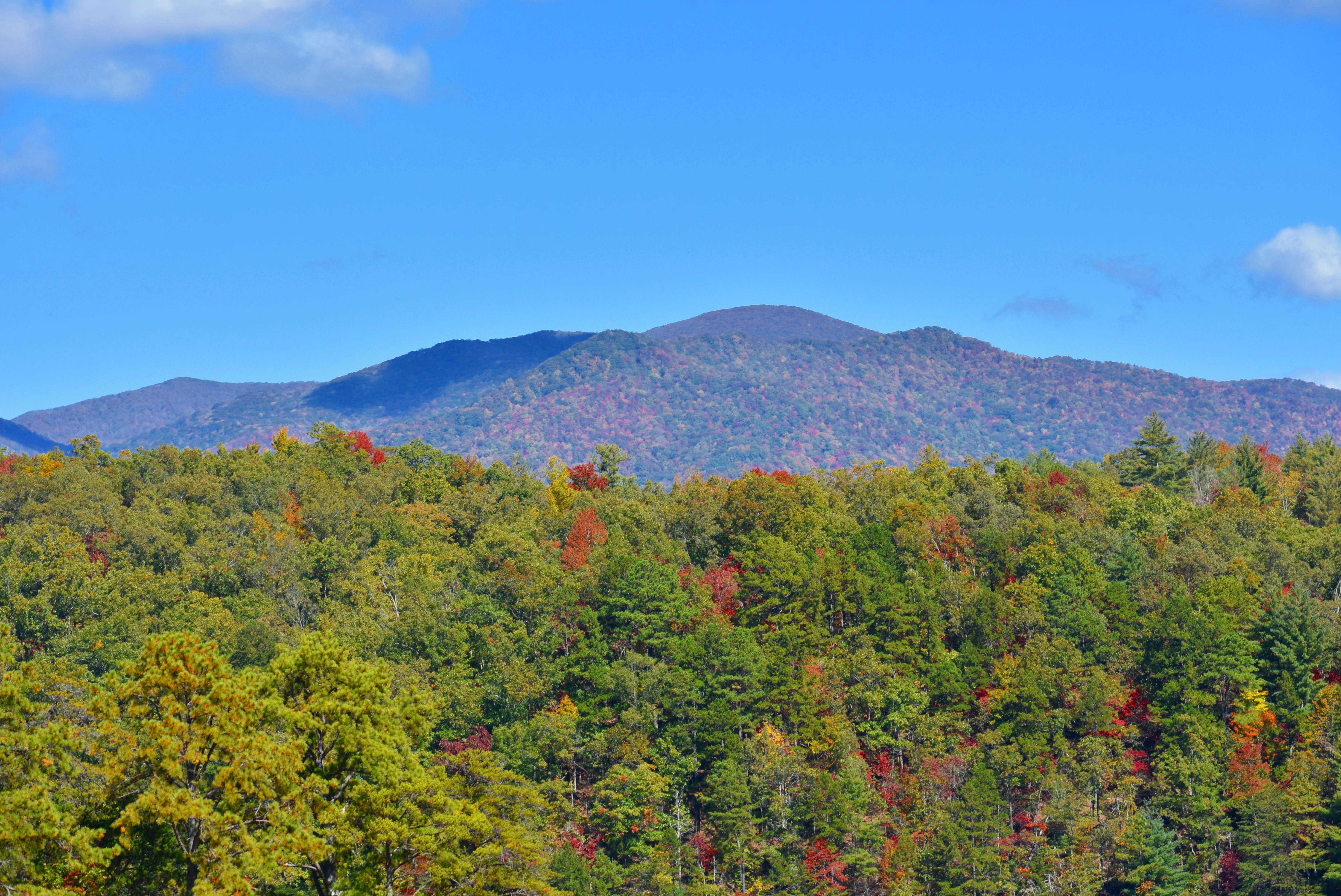 Pigeon Forge Vacation Homes For Rent