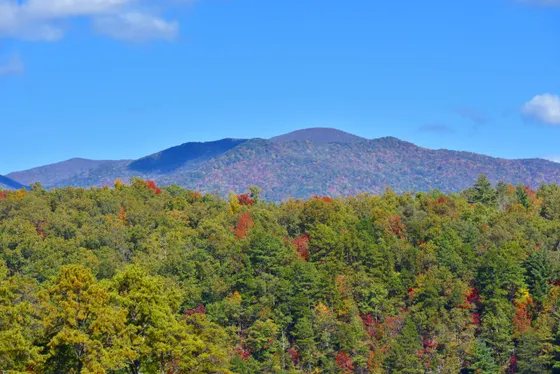 The Cades Cove valley ringed by mountains with a historic cabin