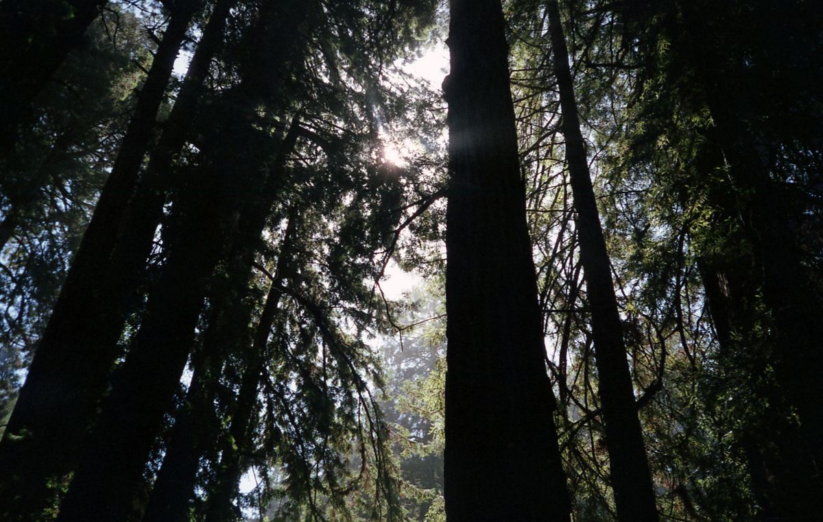 Parks & forests — Federal campgrounds