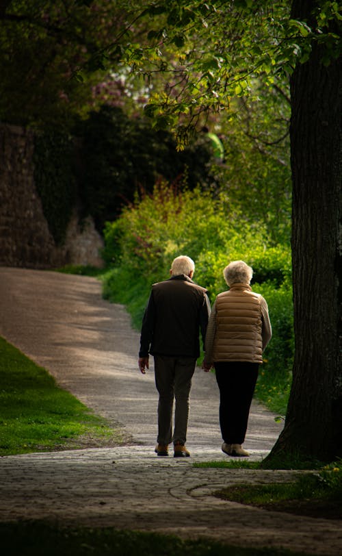 Free stock photo of bap, german, germany