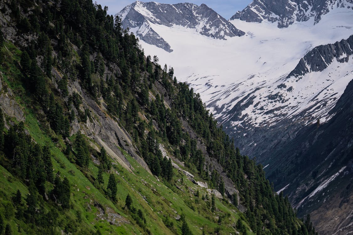 A mountain range with a green valley and snow capped mountains · Free ...