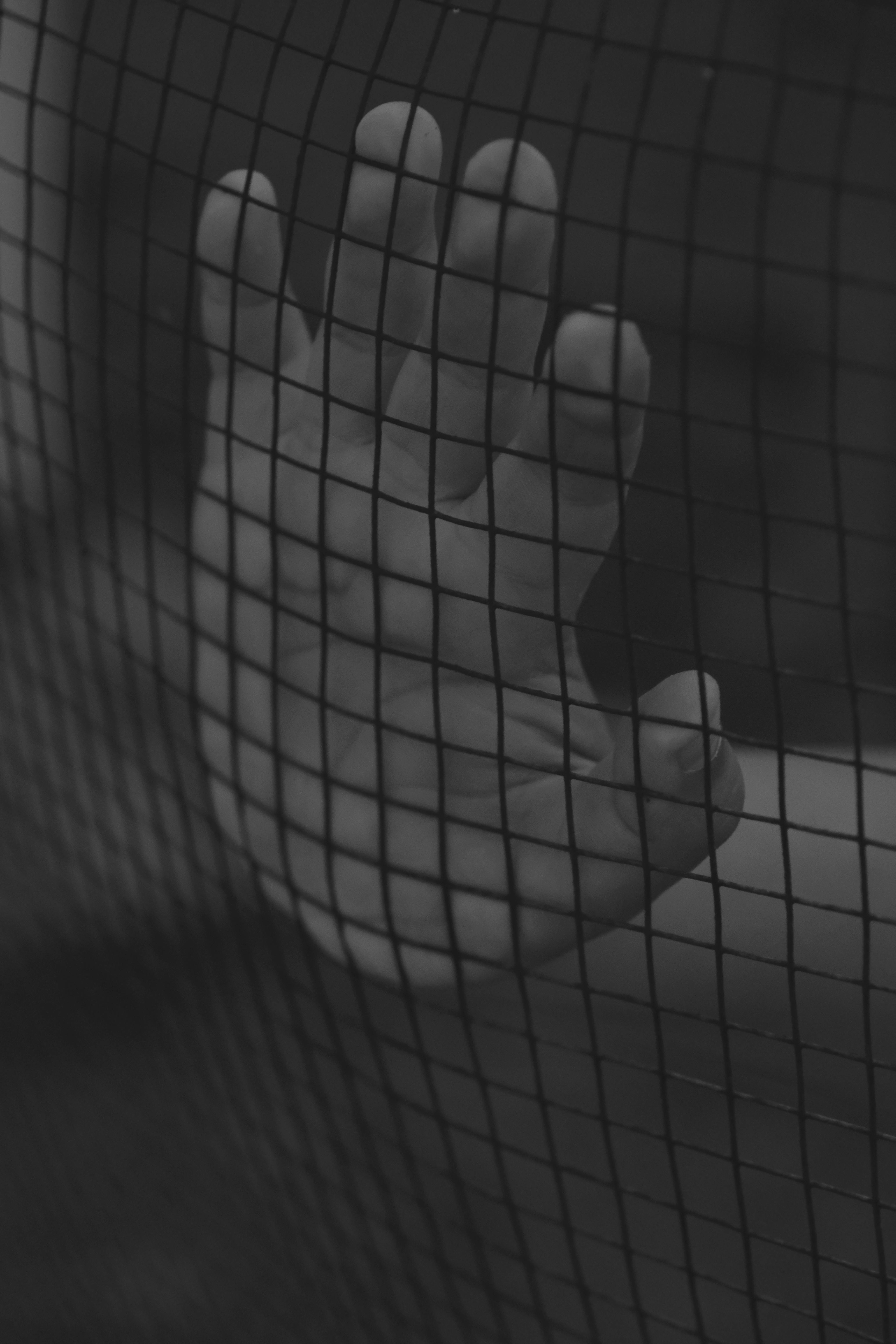 免費 不露面, 人類, 作文 的 免費圖庫相片 圖庫相片