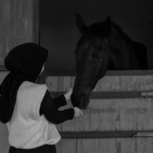 A woman petting a horse in a stable