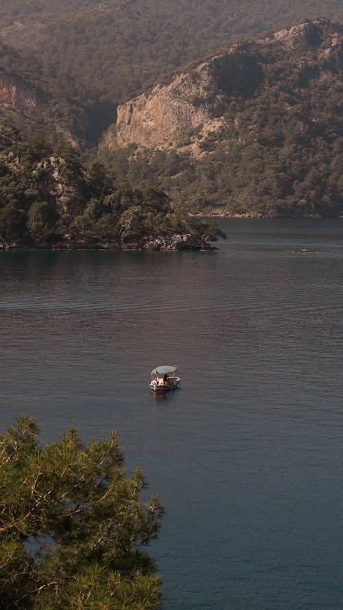 Photos gratuites de arbre, bateau, berge