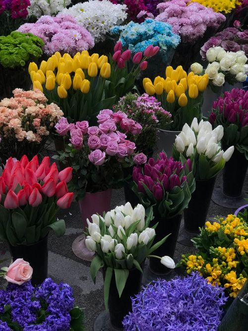 Free A colorful display of tulips, roses, and various flowers at an outdoor market. Stock Photo