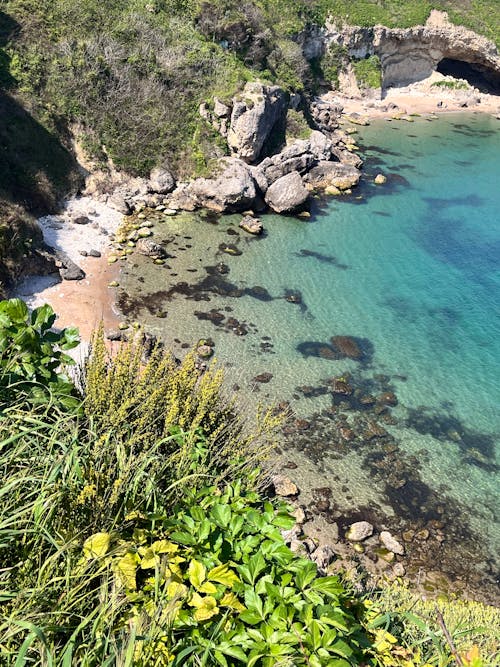 A beach with a clear blue water and green grass