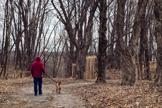 Neuville-près-Sées