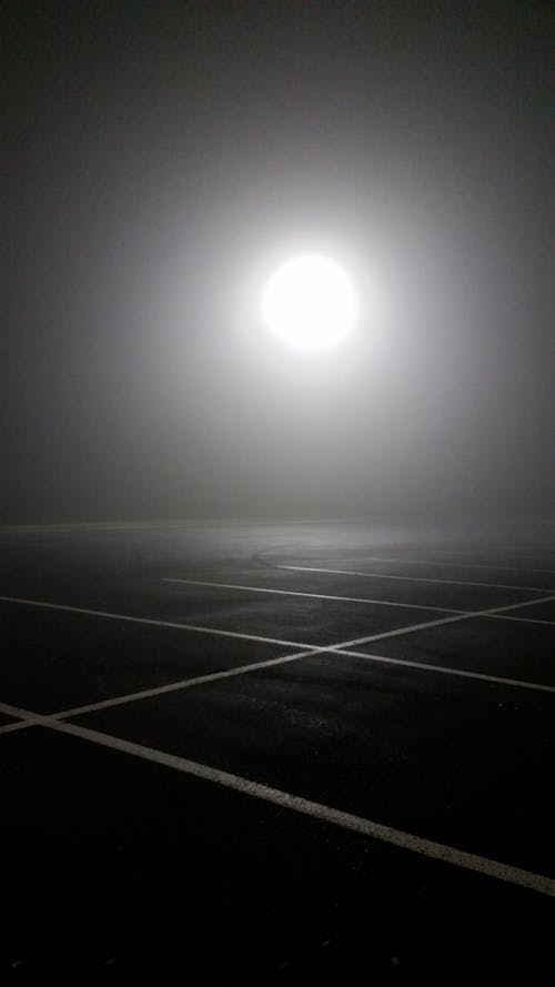 Ingyenes stockfotó fekete-fehér, időjárás, köd témában