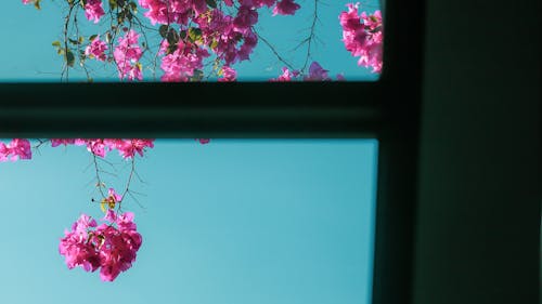 sky confetti balcony 