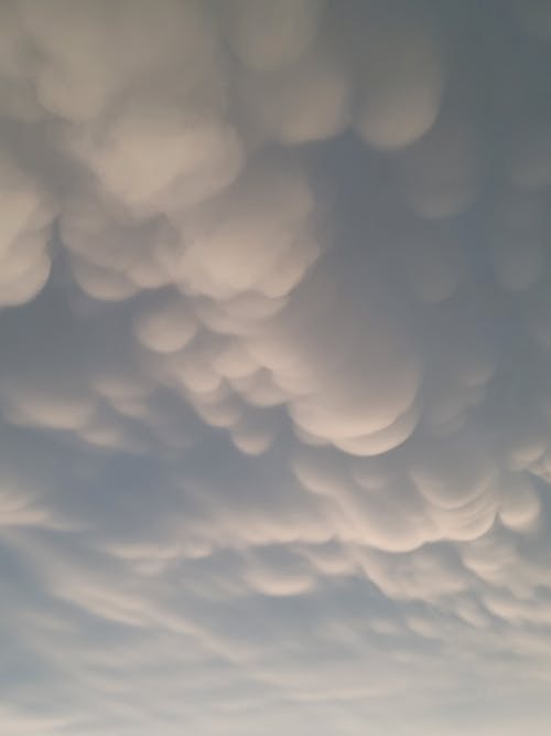 乳状云, 光, 夏天 的 免费素材图片