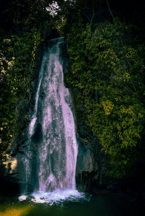 Foto stok gratis air, air terjun, kelembapan