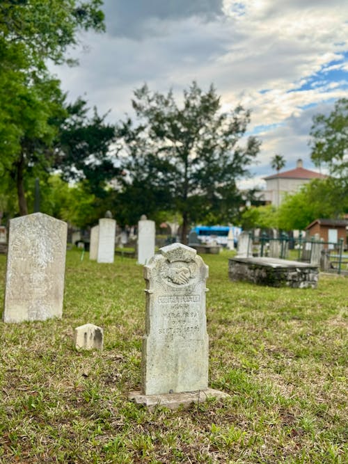 Florida, mezar, şehitliği içeren Ücretsiz stok fotoğraf