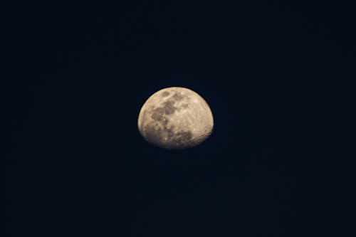 星空, 月のある夜空, 濃紺の無料の写真素材