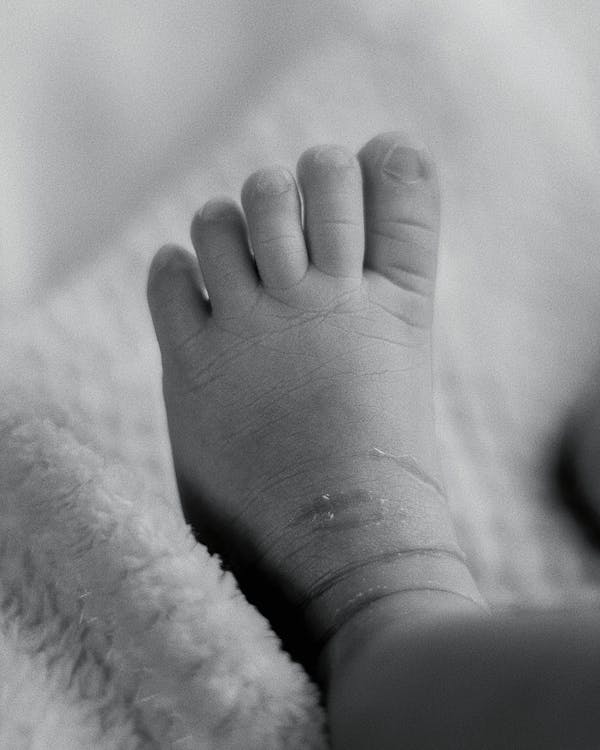 Bebesito · Free Stock Photo