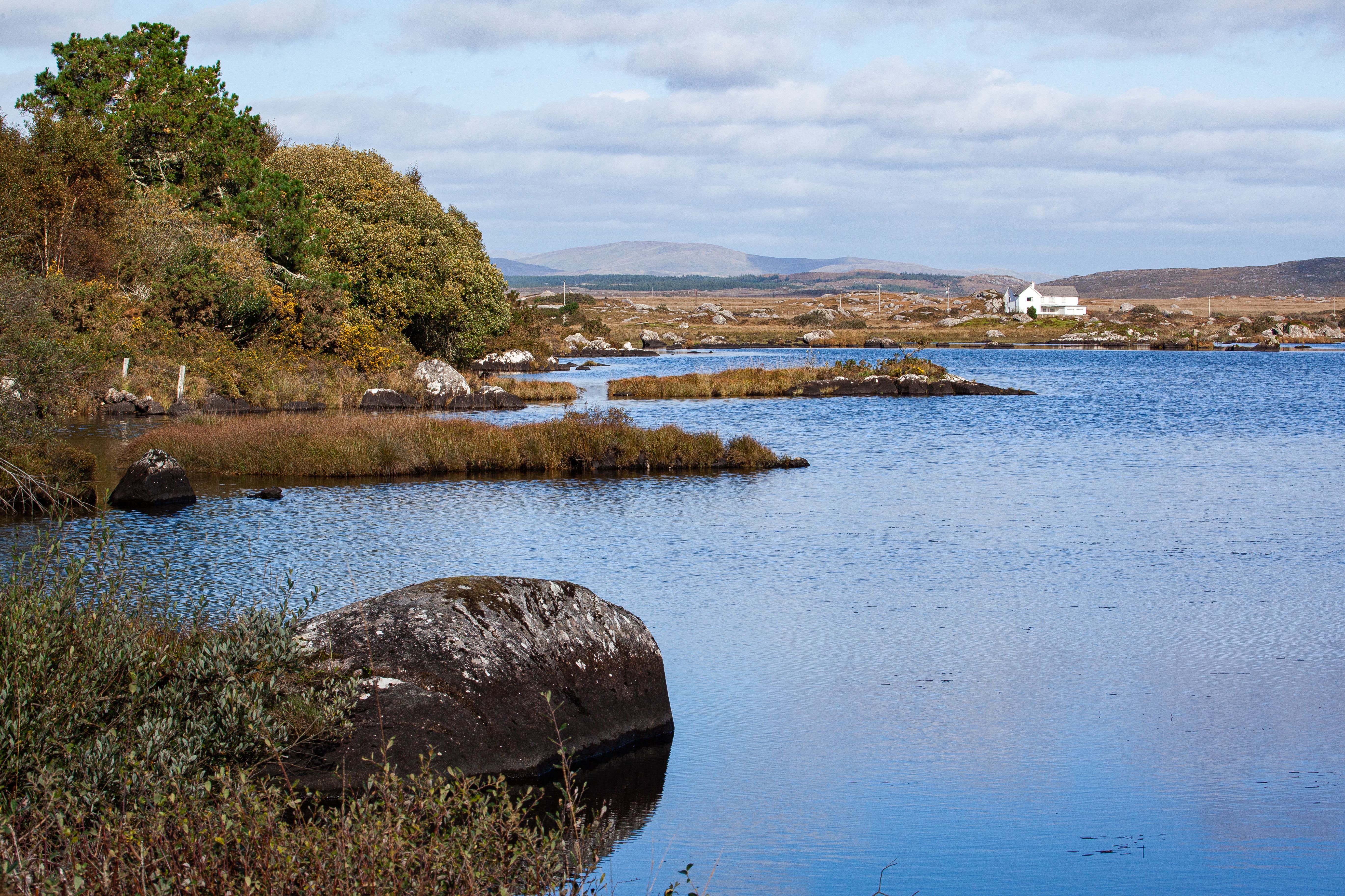Serene lake with distant hills and lush foliage in a rural setting.