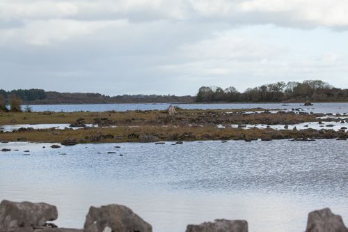 Free Scenic view of a tranquil lakeshore under an overcast sky, capturing natural beauty. Stock Photo