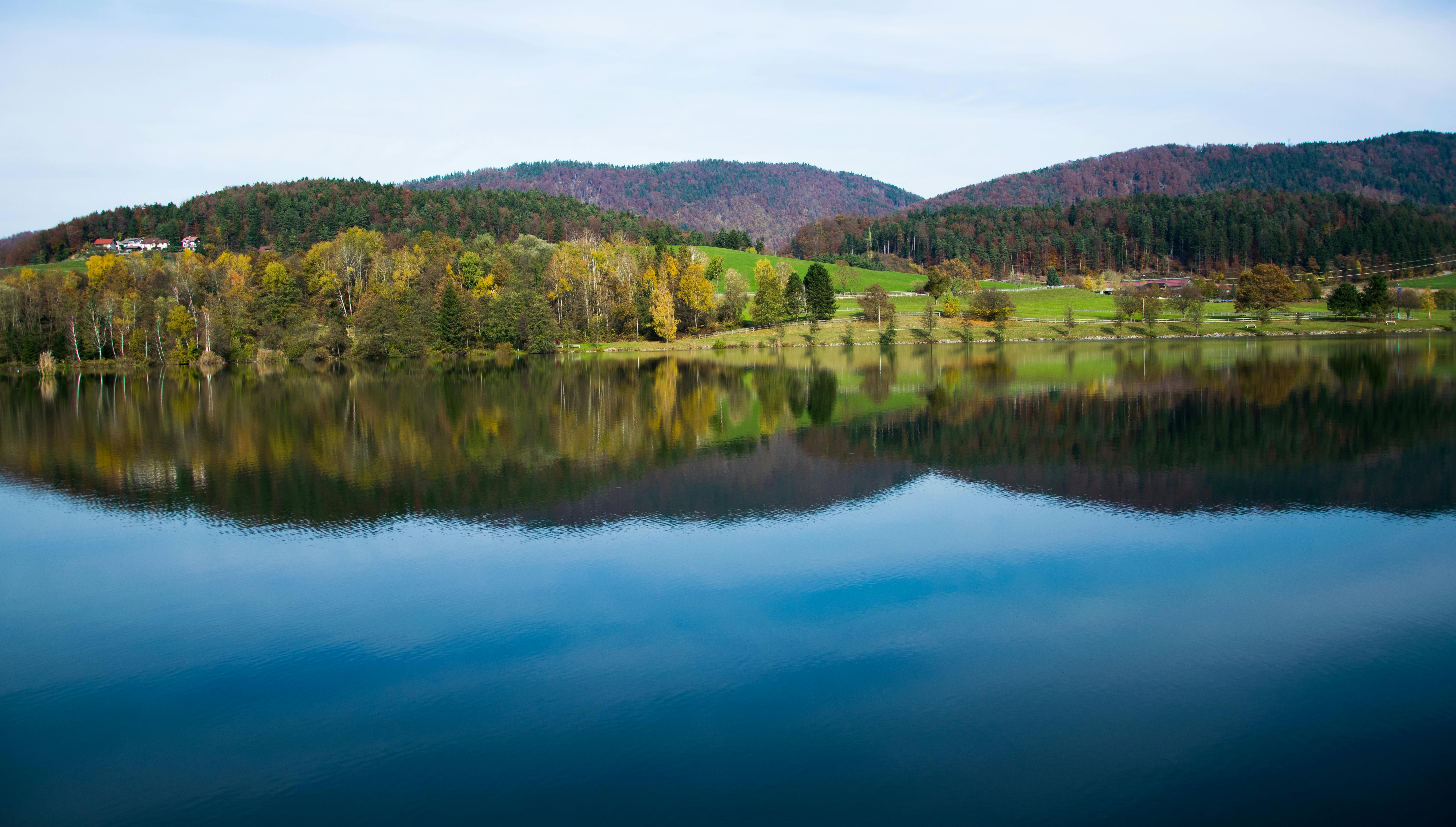 Free stock photo of lake lakeside forest trees reflection autumn sun