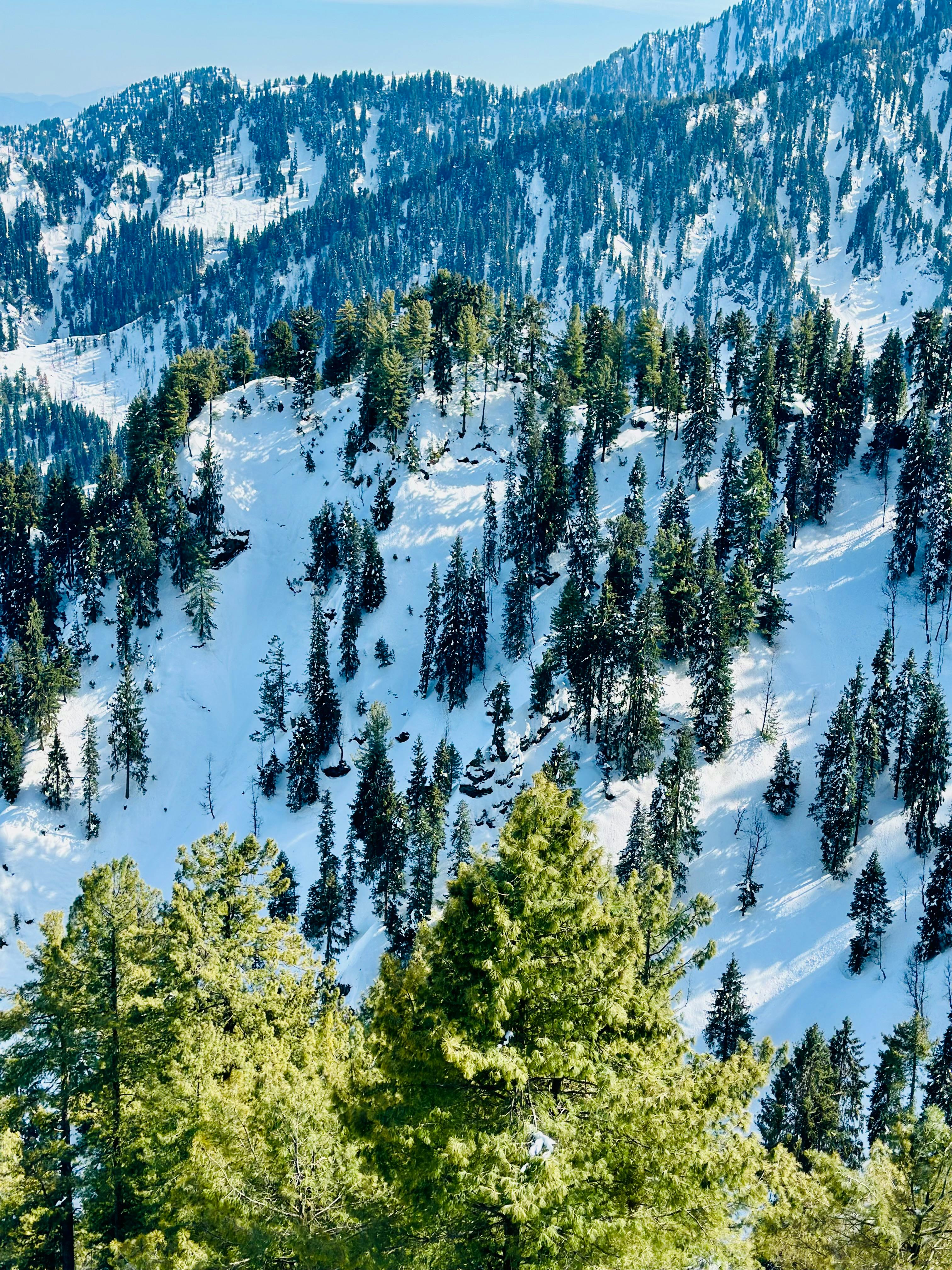 Prescription Goggle Inserts - A stunning aerial view of a snow-covered forest in Malam Jabba, Pakistan during winter.