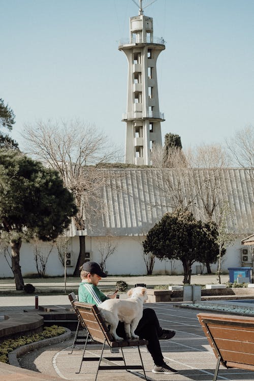 人, 公園, 城市 的 免費圖庫相片