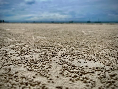 Foto profissional grátis de areia, litoral
