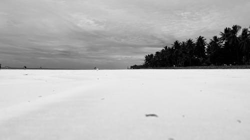 คลังภาพถ่ายฟรี ของ ชายหาด, หน้าหาด