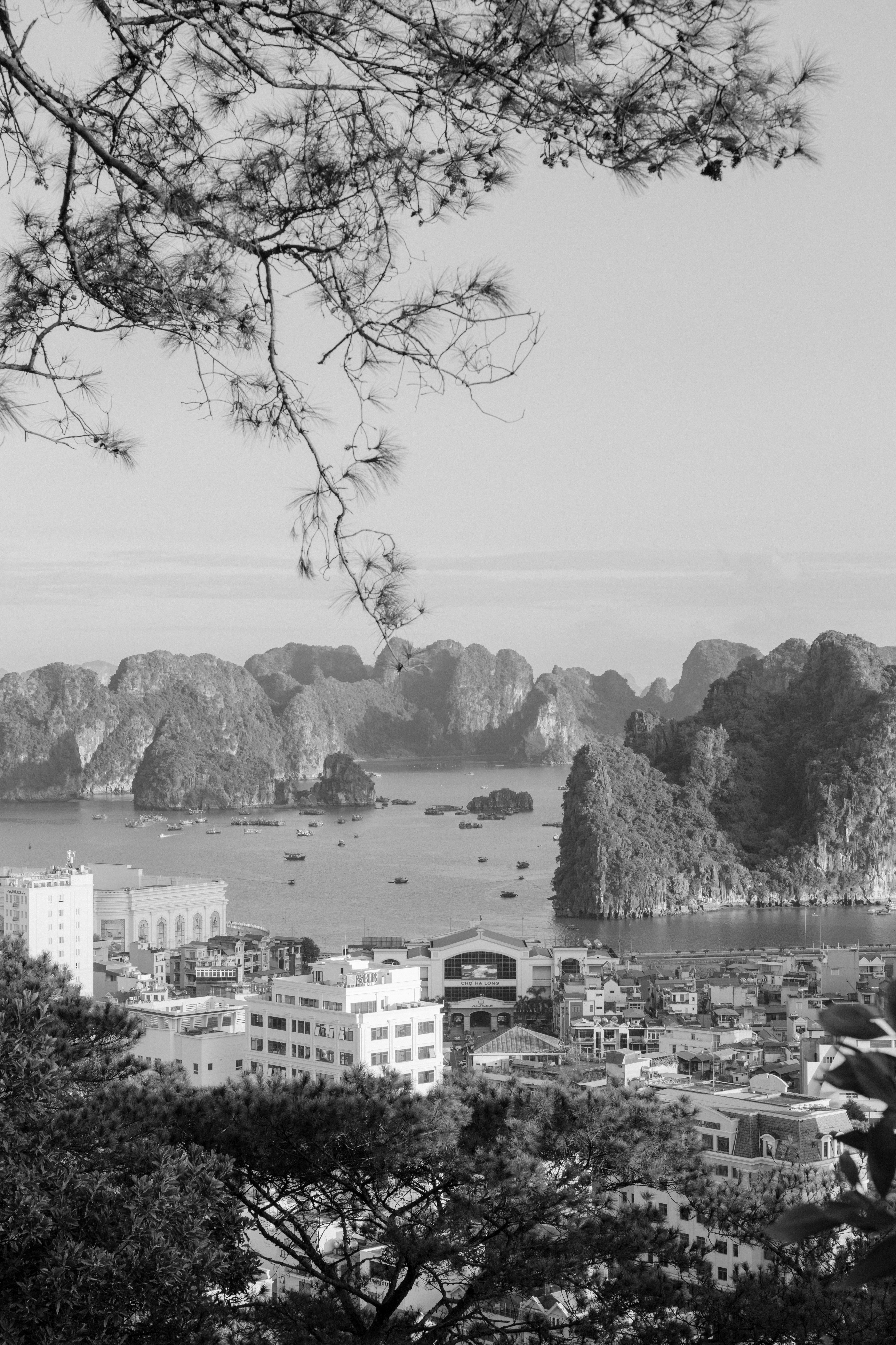 A black and white view of Ha Long Bay's iconic limestone formations and the cityscape below.