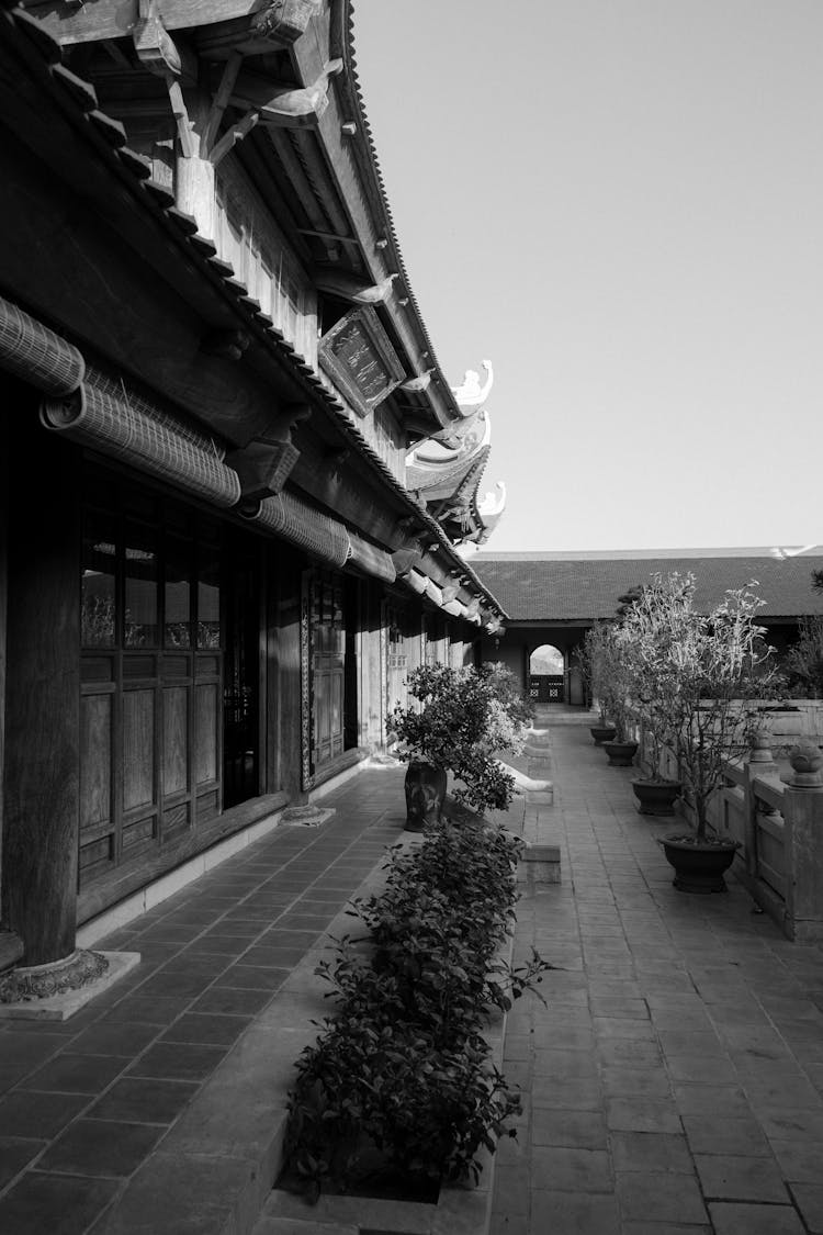 Yard Of Asian Residence