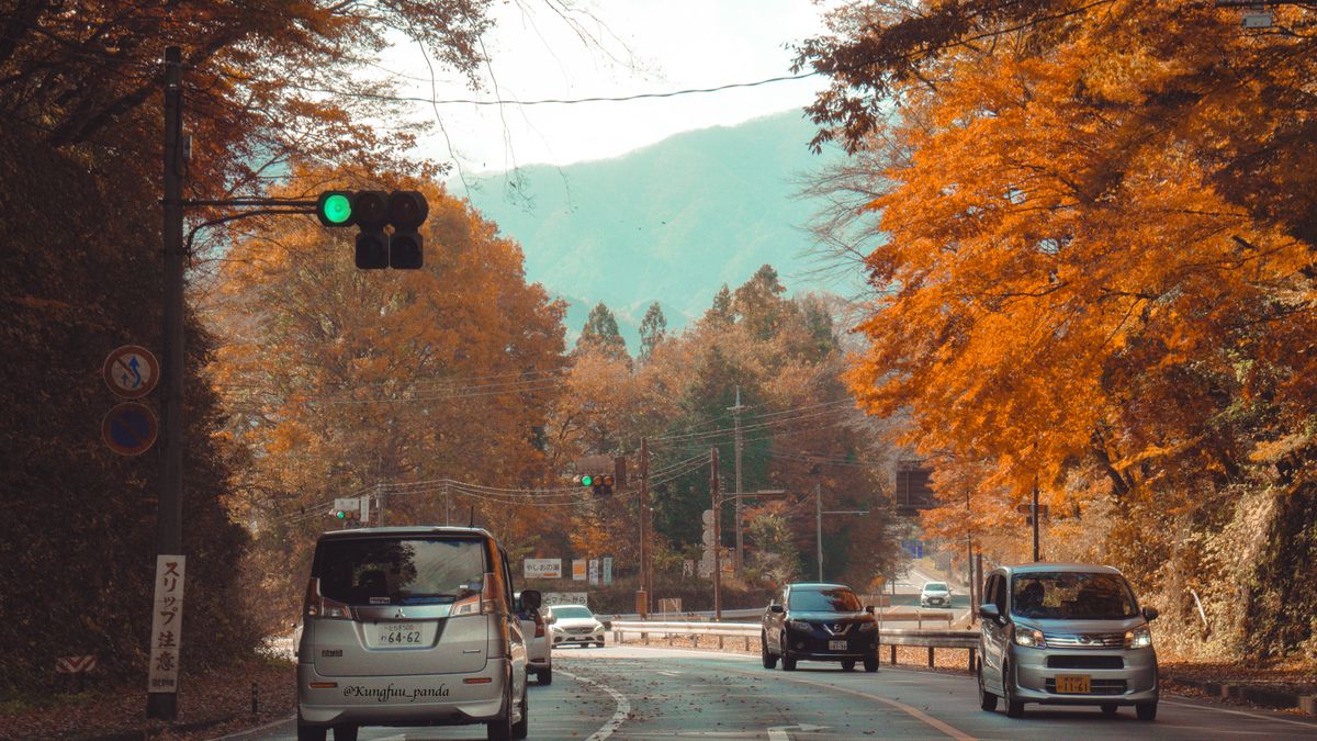 紅葉の季節の日本の山あいの道
