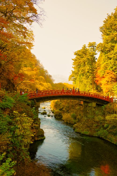 Free Beautiful autumn view of Shinkyo Bridge over a river in Nikko, Japan. Stock Photo