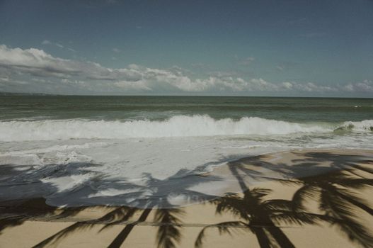 Serene ocean view with palm tree shadows on a sandy beach.