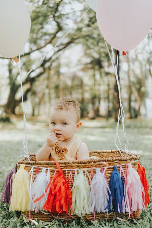 Foto profissional grátis de aniversário, balões, bebê