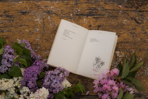 Gratis lagerfoto af afdelingen for torturerede digtere, blomster, bog