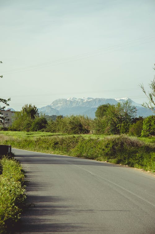 Free stock photo of green, mountain, road