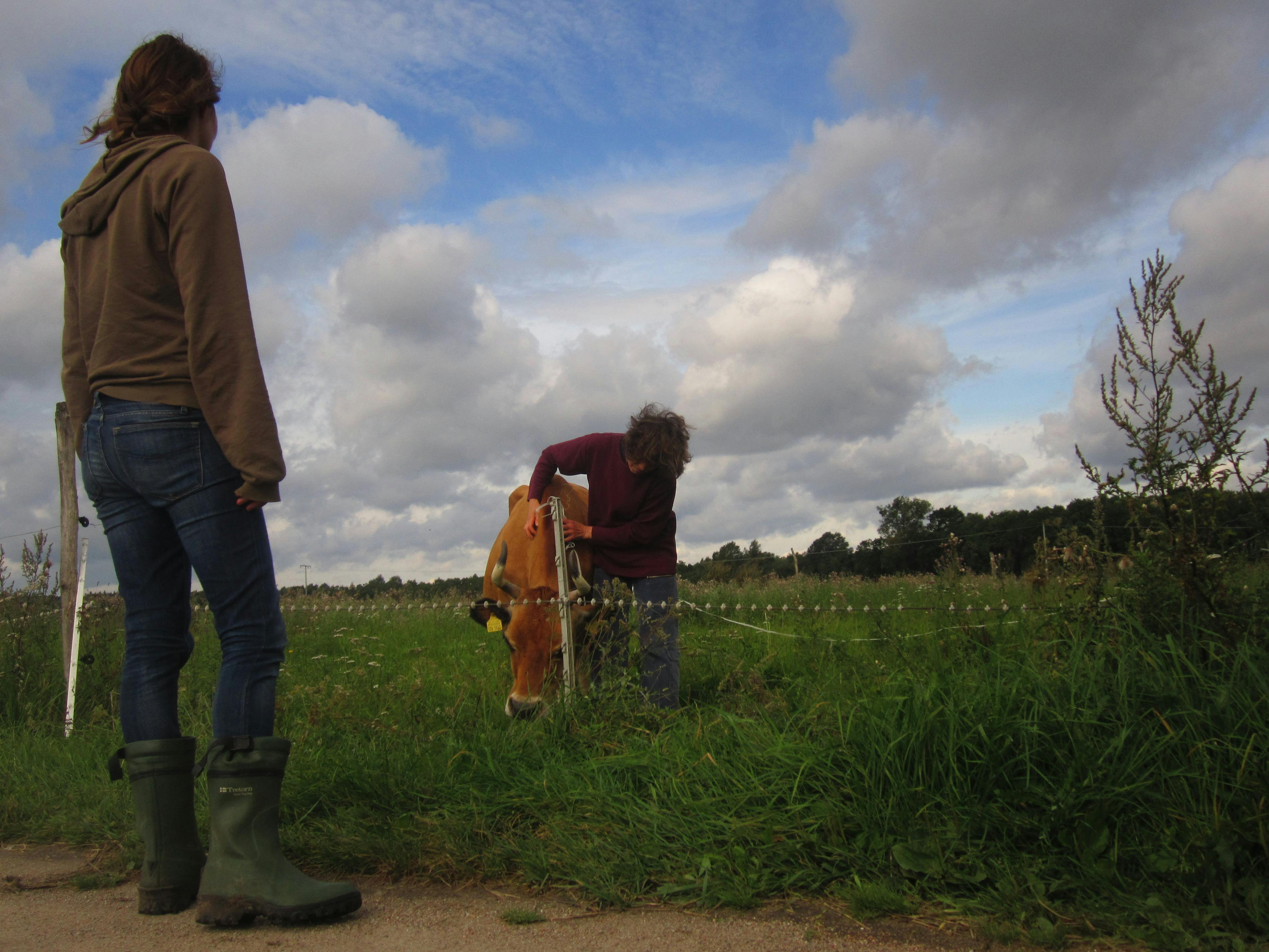 상하이 와이탄 야경