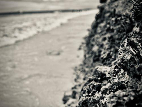 dalgalar, deniz suyu, kayalar oluşumu içeren Ücretsiz stok fotoğraf