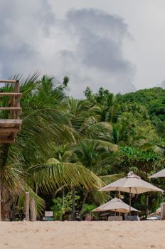 Serene tropical beach with palm trees and umbrellas, perfect for a relaxing vacation.
