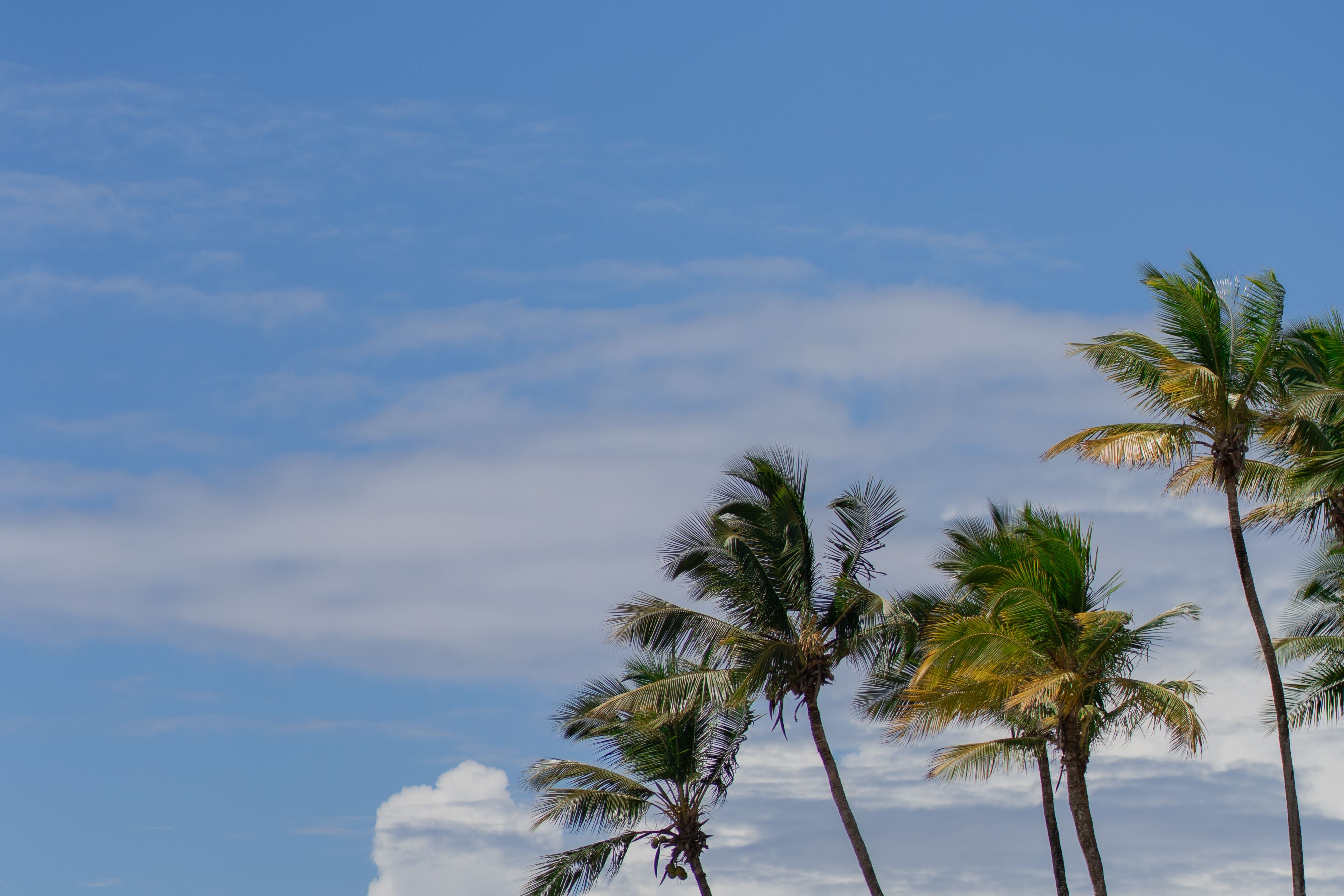 Union Island Weather by Month — Union Island travel guide photo