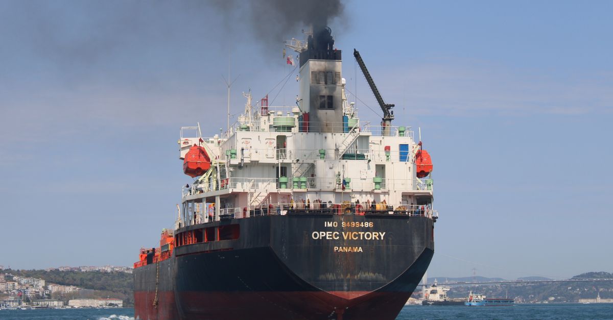 OPEC+ Increases June Oil Output Quotas to Ensure Market Stability