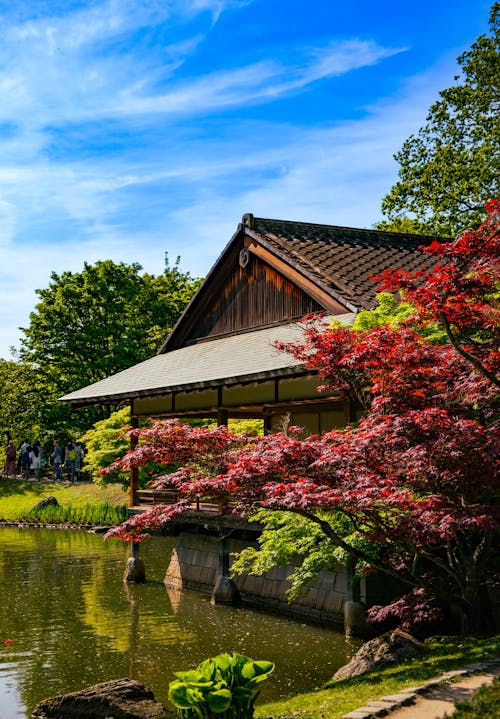 A japanese garden with a pond and trees