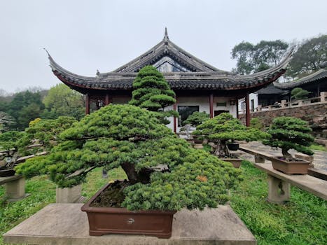 Suzhou, China photo 6