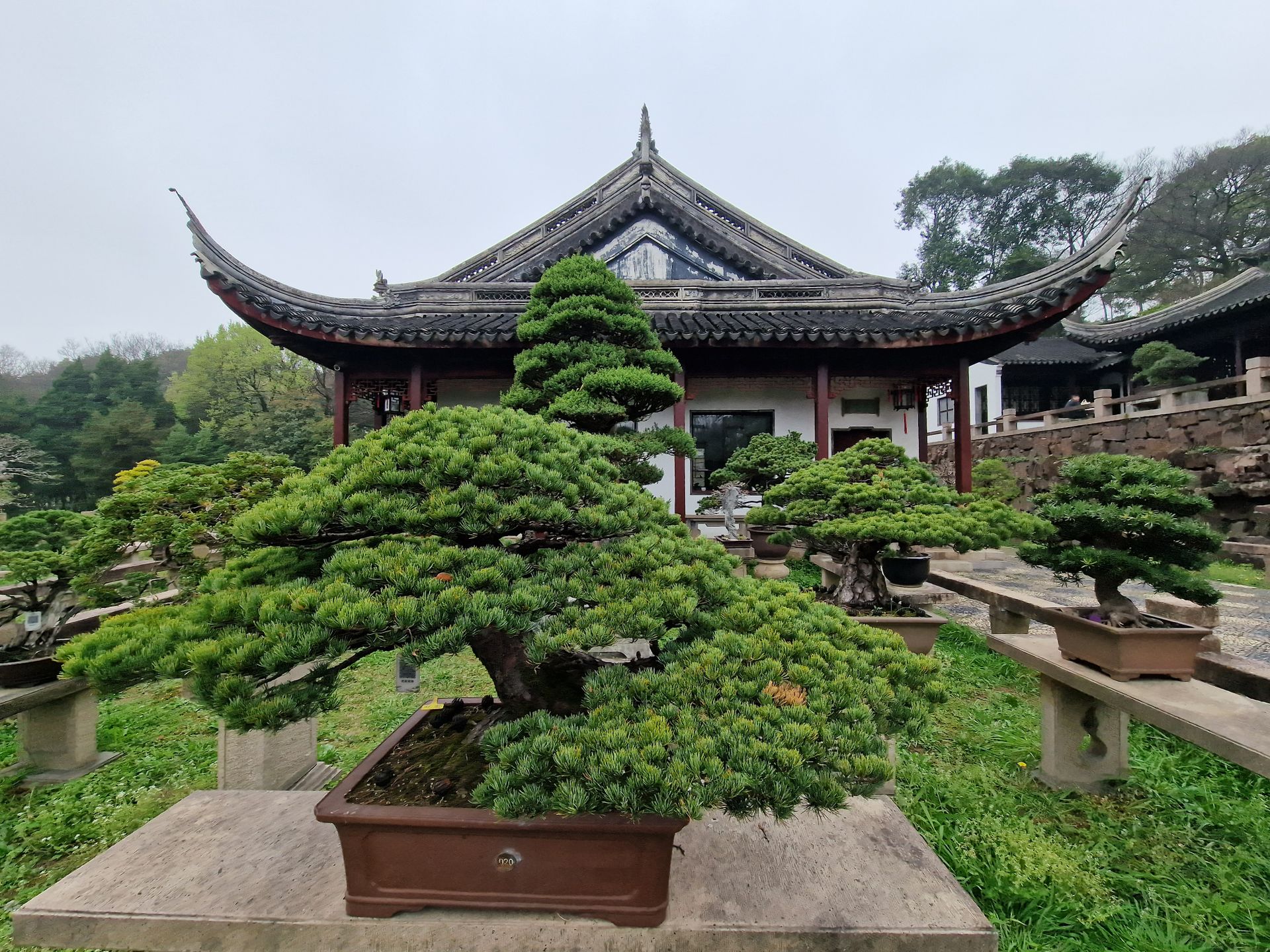 Classical Gardens of Suzhou in China