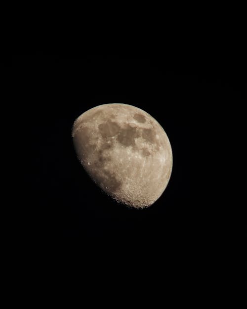 궤도, 단계, 달의 무료 스톡 사진